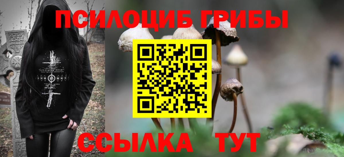 Галлюциногенные грибы ЛСД  Галлюциногенные грибы Psilocybine cubensis  Вход с VPN  Шатура 
